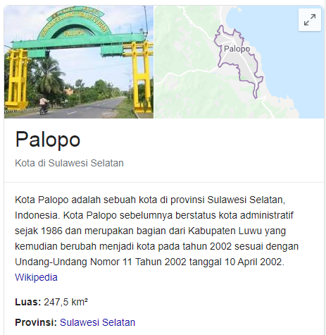 Apotik di Kota Palopo
