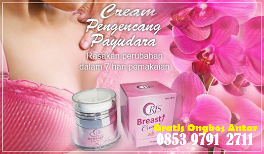 Jual Oris Breast Cream Di Makassar